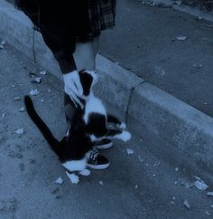 mothcore Mothcore Aesthetic, Hush Cut, Grunge Pictures, Dark Green Aesthetic, Dark Nature Aesthetic, Cat Icon, Pretty Photos, Cat Aesthetic, Grunge Photography