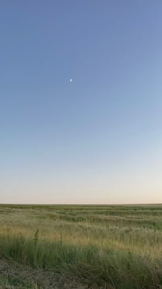 an empty field with grass and a moon in the sky above it on a clear day