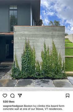 some plants are growing on the side of a concrete block wall in front of a house