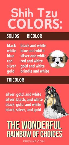 the different types of dogs that can be seen in this info sheet, including black and white shih tzu colors