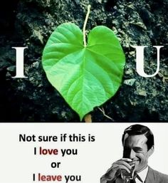 a heart shaped leaf with the words i love you on it and an image of a man