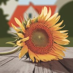 a large sunflower sitting on top of a wooden table in front of a house