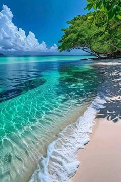 the water is crystal blue and clear with white sand on the beach in front of it