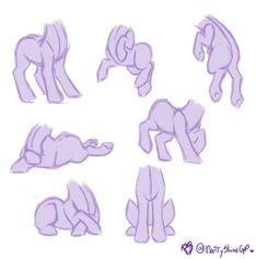 some drawings of horses laying on their stomachs and legs in different positions, with one horse looking at the camera