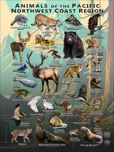 an image of animals of the pacific northwest coast region with their names and pictures on it