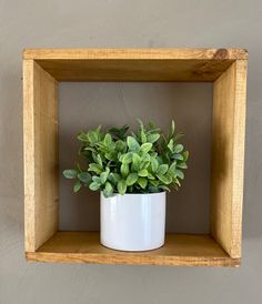 a potted plant is sitting in a wooden frame on the wall above a shelf