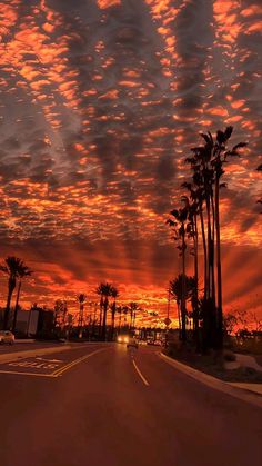 the sun is setting behind palm trees on the side of the road with clouds in the sky