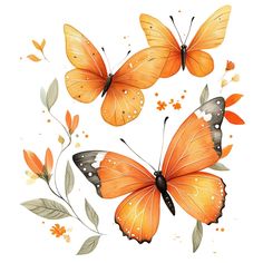 three orange butterflies with leaves and flowers on the bottom one is painted in watercolor