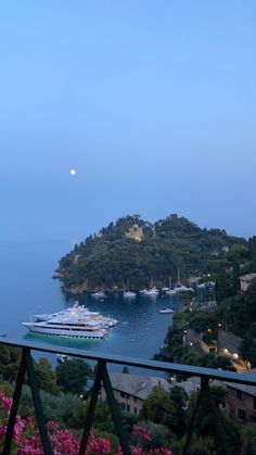 a cruise ship is docked in the water at dusk with pink flowers on the foreground