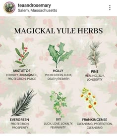 the different types of plants and their names