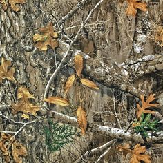 Camo Fabric, Camo Patterns, Water Design, Autumn Forest, Safari Animals, Cotton Twill Fabric