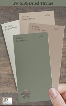 a hand is holding three different shades of paint in front of a wooden background with the words sw 616 dried thye on it