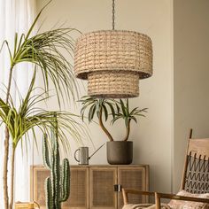 a living room filled with furniture and plants