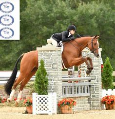 a person riding on the back of a brown horse over an obstacle with trees in the background