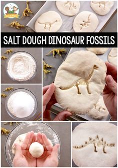 how to make salt dough dinosaur fossiles with pictures and instructions for making them in the shape of dinosaurs