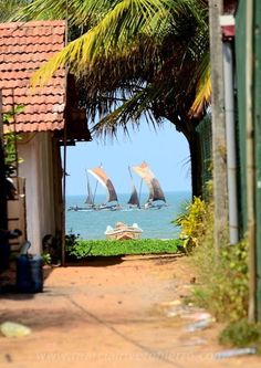 an alley way with palm trees and sailboats on the ocean in the distance,