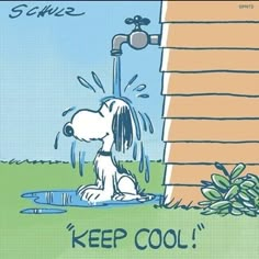 a cartoon dog sitting on the ground in front of a water faucet that says keep cool