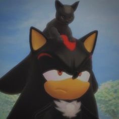 a cat sitting on the back of a black bird in front of a blue sky