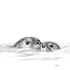 two baby seal puppies swimming in the ocean together, one is looking at the camera