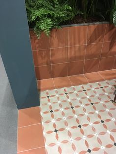 an orange and white tiled floor next to a green plant