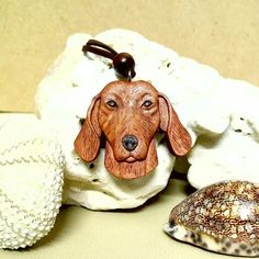 a brown dog sitting on top of a white rock next to a sea shell with a bead in it's ear