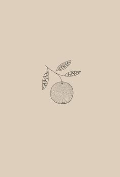 a drawing of an apple with leaves on it