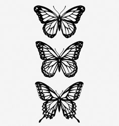 three black and white butterflies on a white background