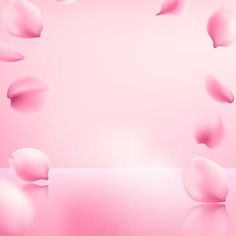 an abstract pink background with petals floating in the air and on top of a shiny surface