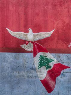 a white bird flying over a flag with a tree on it's back end