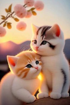 two kittens cuddle together in front of a blossoming tree with the sun setting behind them