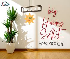 the big holiday sale is up to 70 % off with this plant in front of it