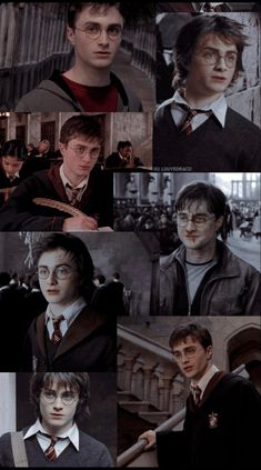 many pictures of harry potter and his friends