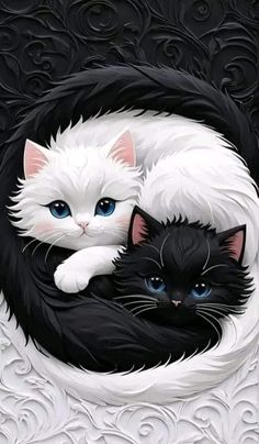 two black and white cats laying on top of each other in a circular frame with swirly background