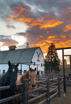 two horses standing next to each other in front of a white barn with a sunset behind them