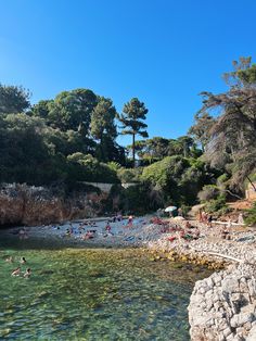 many people are swimming in the water near some rocks and trees on a sunny day