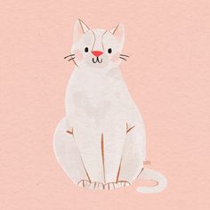 a white cat sitting on top of a pink surface