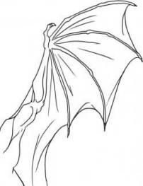 a black and white drawing of a dragon with its wings spread out to the side