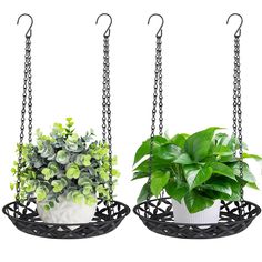 three hanging planters with plants in them and one on the other side, each holding a potted plant