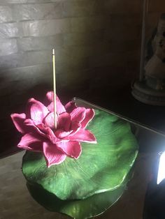 a pink flower sitting on top of a green leaf