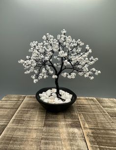 a bonsai tree with white flowers in a black bowl