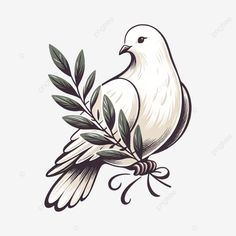 white dove peace dove olive branch illustration white dove peace dove olive branch png Olive Branch Illustration, Peace Dove Tattoos, Dove Sketches, Dove Outline, Olive Branch Art, Branch Illustration