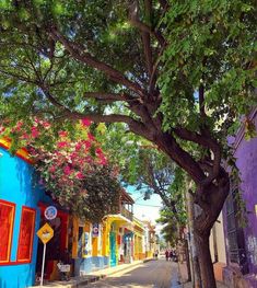 a street with colorful buildings and trees on both sides