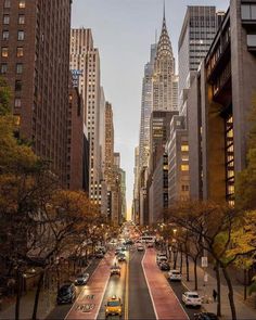 a city street filled with lots of tall buildings next to trees and parked cars on the side of the road