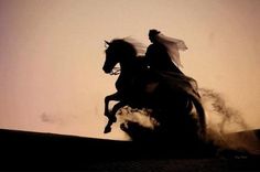 the silhouette of a horse and rider is shown in this image, with dust blowing up behind them