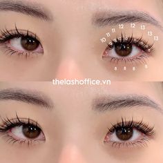 IG: thelashoffice.vn Monolid Eyelash Extensions, Eyelash Map, Prom Lashes, Eyelashes Design, Anime Lashes, Lash Map, Lashes Fake Eyelashes, Eyelash Tips, Kutek Disney