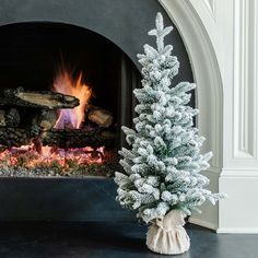 a small white christmas tree sitting next to a fire place in a fireplace with snow on it