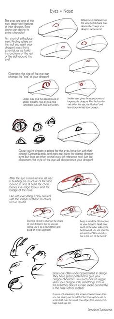 an instruction manual for how to draw eyes