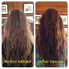 Butterflies, Peace, Paleo: My Henna Hair Color Experience Auburn Henna Hair, Henna Color, Hair Color Auburn, Colored Highlights, Hair Dye Colors, Hair Color Trends, Kombucha