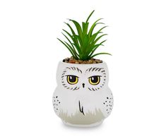 a white owl planter with yellow eyes