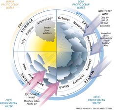 a diagram showing the different types of weather